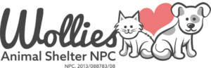Wollies Animal Shelter